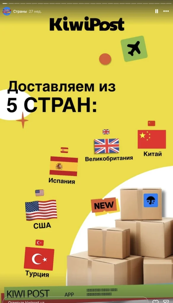 Международная компания доставок KIWIPOST — материалы проекта